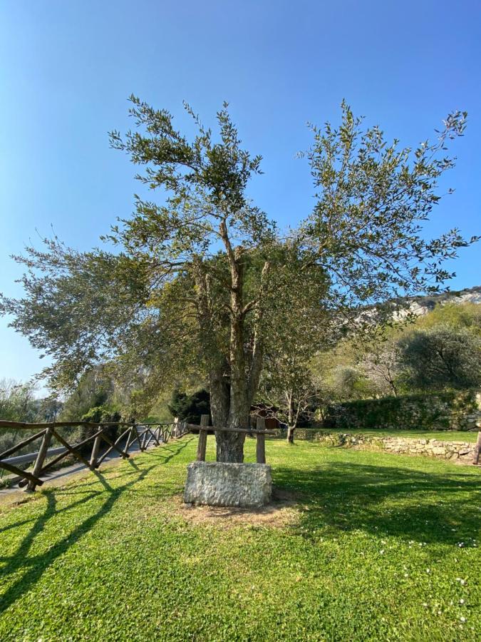 Casa Virginia Villa Orco Feglino Bagian luar foto